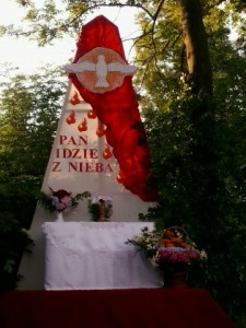 phoca_thumb_l_20140619_064458