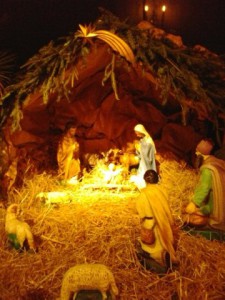 phoca_thumb_l_20141223_000737