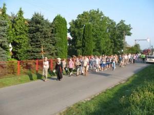 phoca_thumb_l_IMG_0078