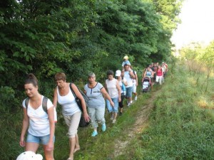 phoca_thumb_l_IMG_0108