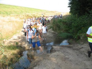 phoca_thumb_l_IMG_0146