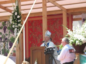 phoca_thumb_l_IMG_0255