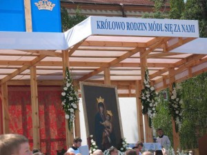 phoca_thumb_l_IMG_0264