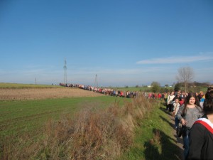 phoca_thumb_l_IMG_0779