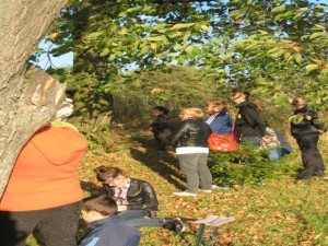 phoca_thumb_l_IMG_0821