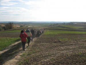 phoca_thumb_l_Obraz 046