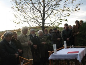 phoca_thumb_l_Obraz 057