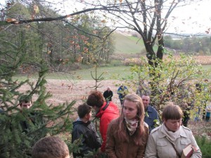 phoca_thumb_l_Obraz 060