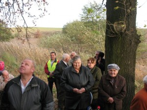 phoca_thumb_l_Obraz 066