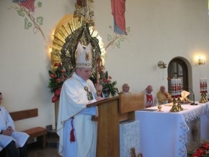 phoca_thumb_l_Odpust i bierzmowanie 2014 17