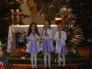 phoca_thumb_l_P1030290