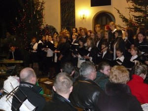 phoca_thumb_l_P1030339