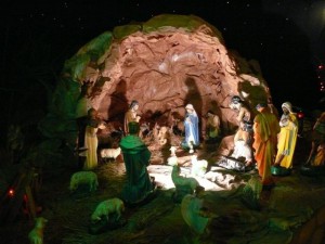 phoca_thumb_l_P1400059