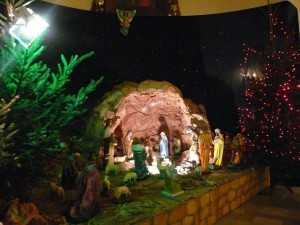 phoca_thumb_l_P1400060