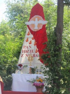 phoca_thumb_l_P6192769