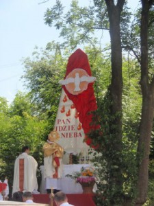 phoca_thumb_l_P6192770