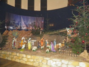 phoca_thumb_l_PC250644