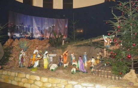 phoca_thumb_l_PC250644