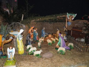 phoca_thumb_l_PC250647