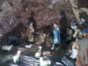 phoca_thumb_l_Zdjcie0346