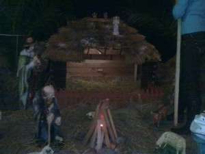 phoca_thumb_l_Zdjcie0347