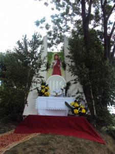 phoca_thumb_l_dsc01935