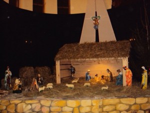 phoca_thumb_l_dsc07727