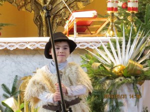 phoca_thumb_l_img_0748