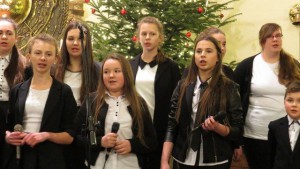 phoca_thumb_l_img_0875