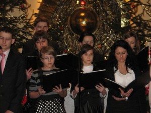 phoca_thumb_l_img_0903