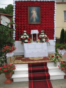 phoca_thumb_l_img_1114