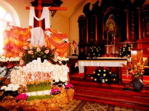 phoca_thumb_l_p1030285