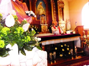 phoca_thumb_l_p1030310