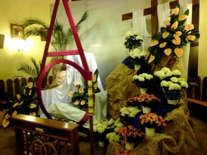 phoca_thumb_l_p1030386