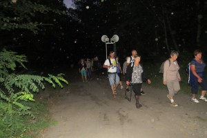 Jodłówka - 2016  (10)