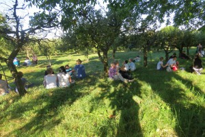 Jodłówka - 2016  (50)