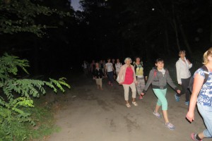 Jodłówka - 2016  (6)