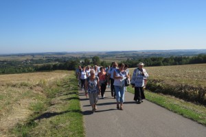 Jodłówka - 2016  (61)